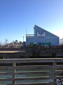 Spud Point Marina